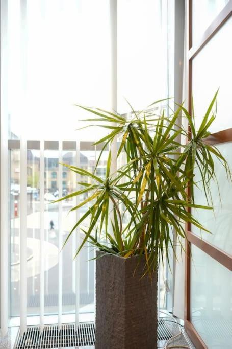 Exklusive Stadtoase Design-Wohnung - Panoramablick 科布倫茨 外观 照片